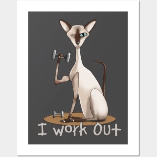 The Gym Cat Posters and Art